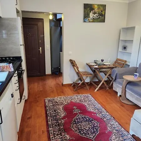 Taksim Private Terrace Close To Antique Store Galata Port Cihangir İstanbul Dış mekan fotoğraf