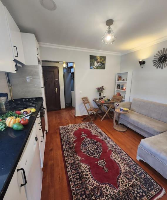 Daire Taksim Private Terrace Close To Antique Store Galata Port Cihangir İstanbul